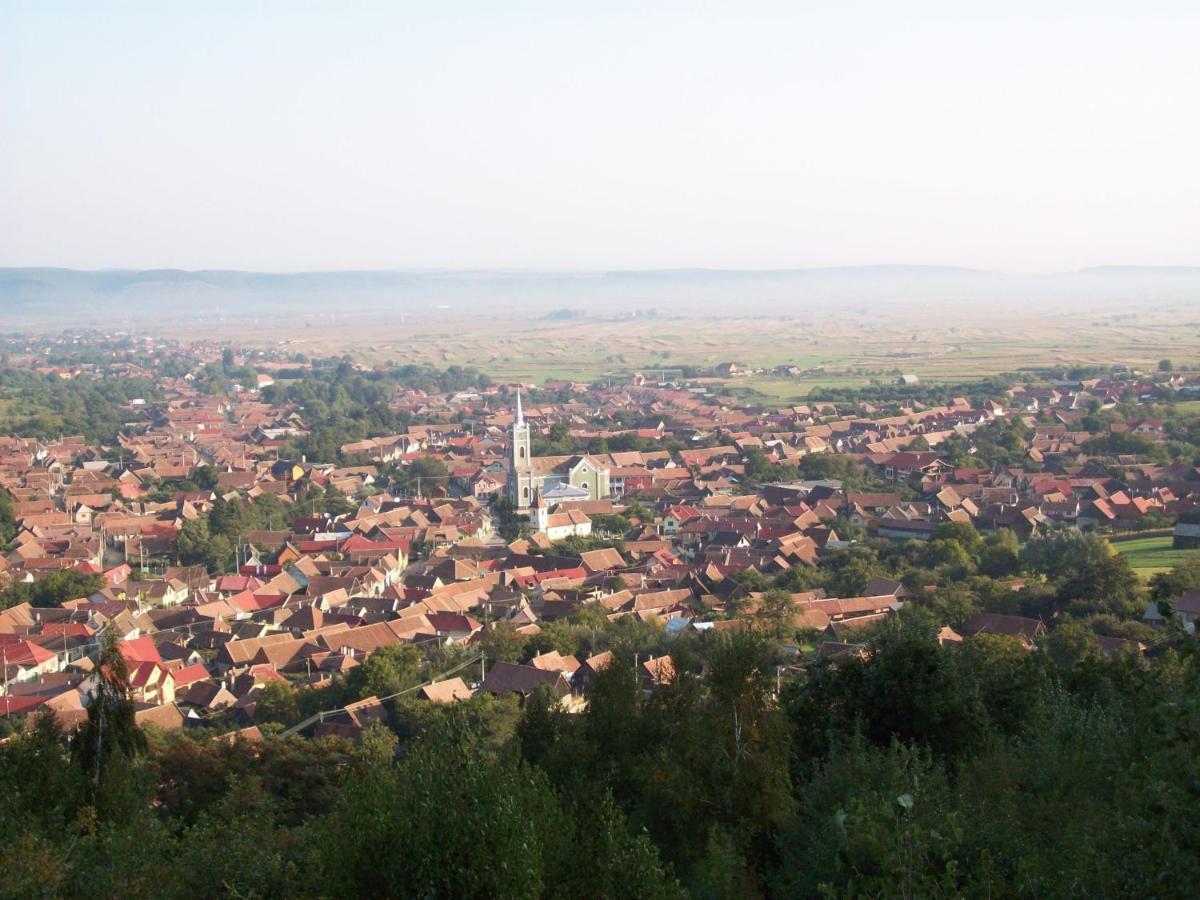 Pensiunea Norica Gura Raului Luaran gambar